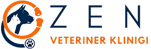 biVet